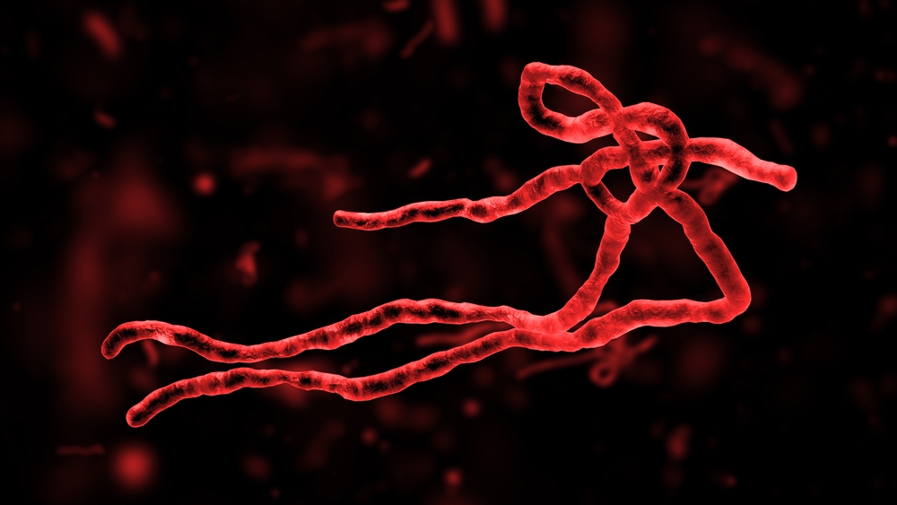 Blog article 557 Ebola
