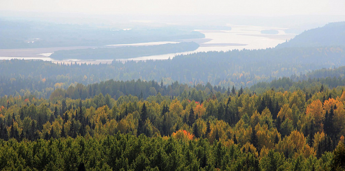 Blog article 559 Dvinsko