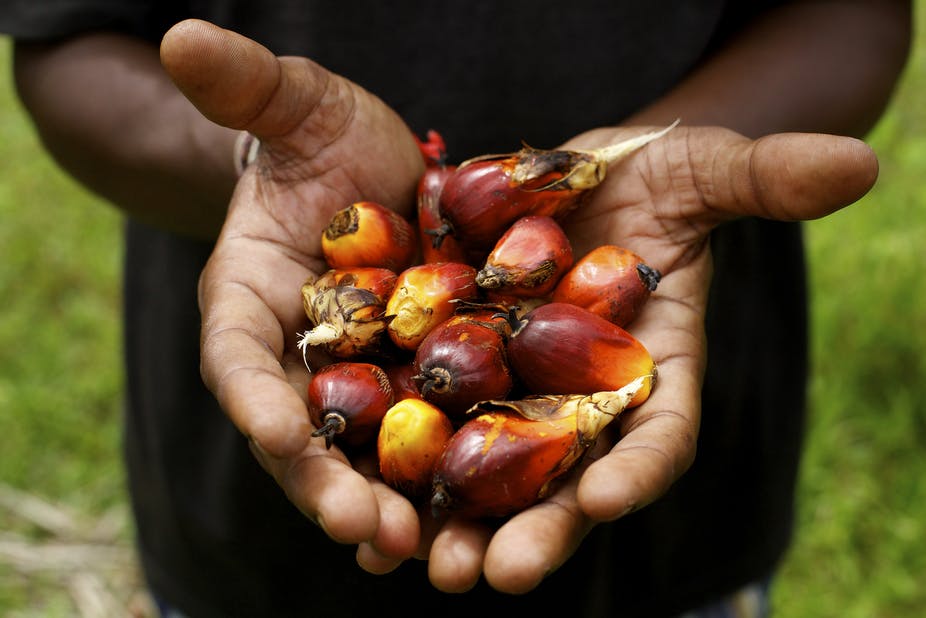 Blog article 593 Palm oil