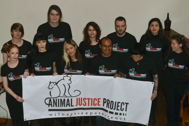 Animal Justice project