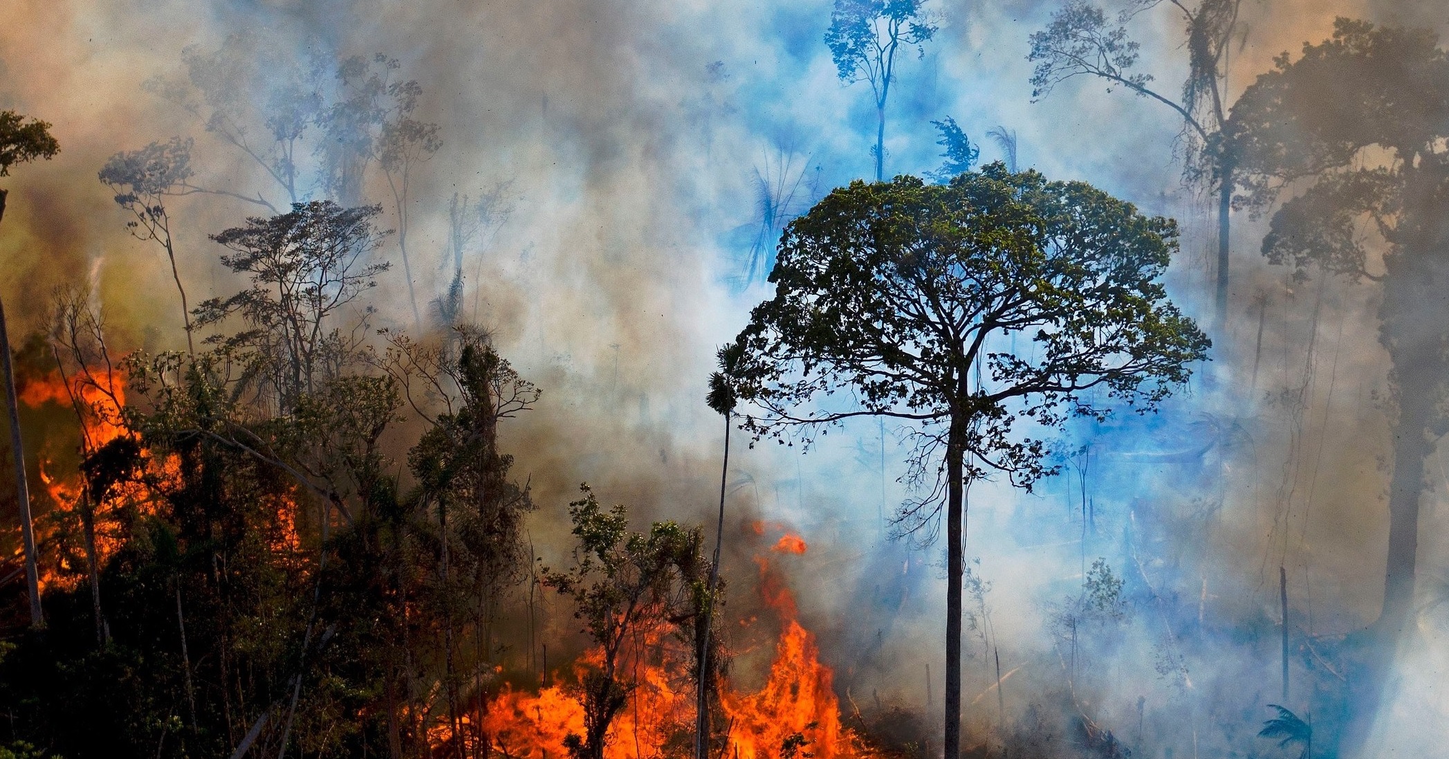 Brasil amazon deforestation 1