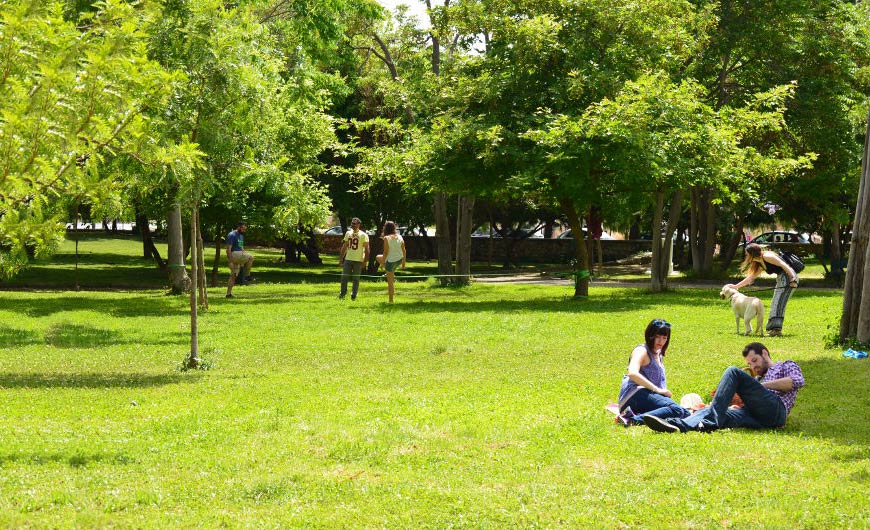 GreenSpaces2
