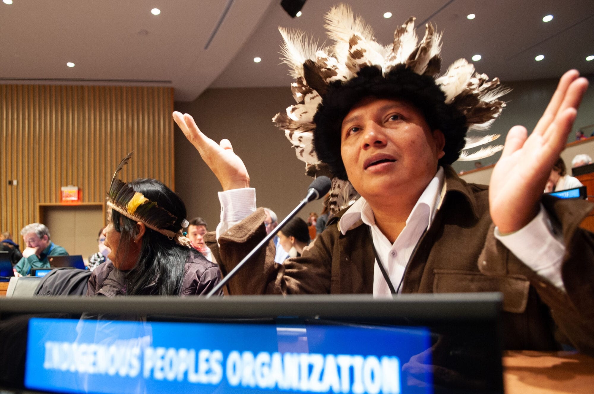 Indigenous against deforestation 10