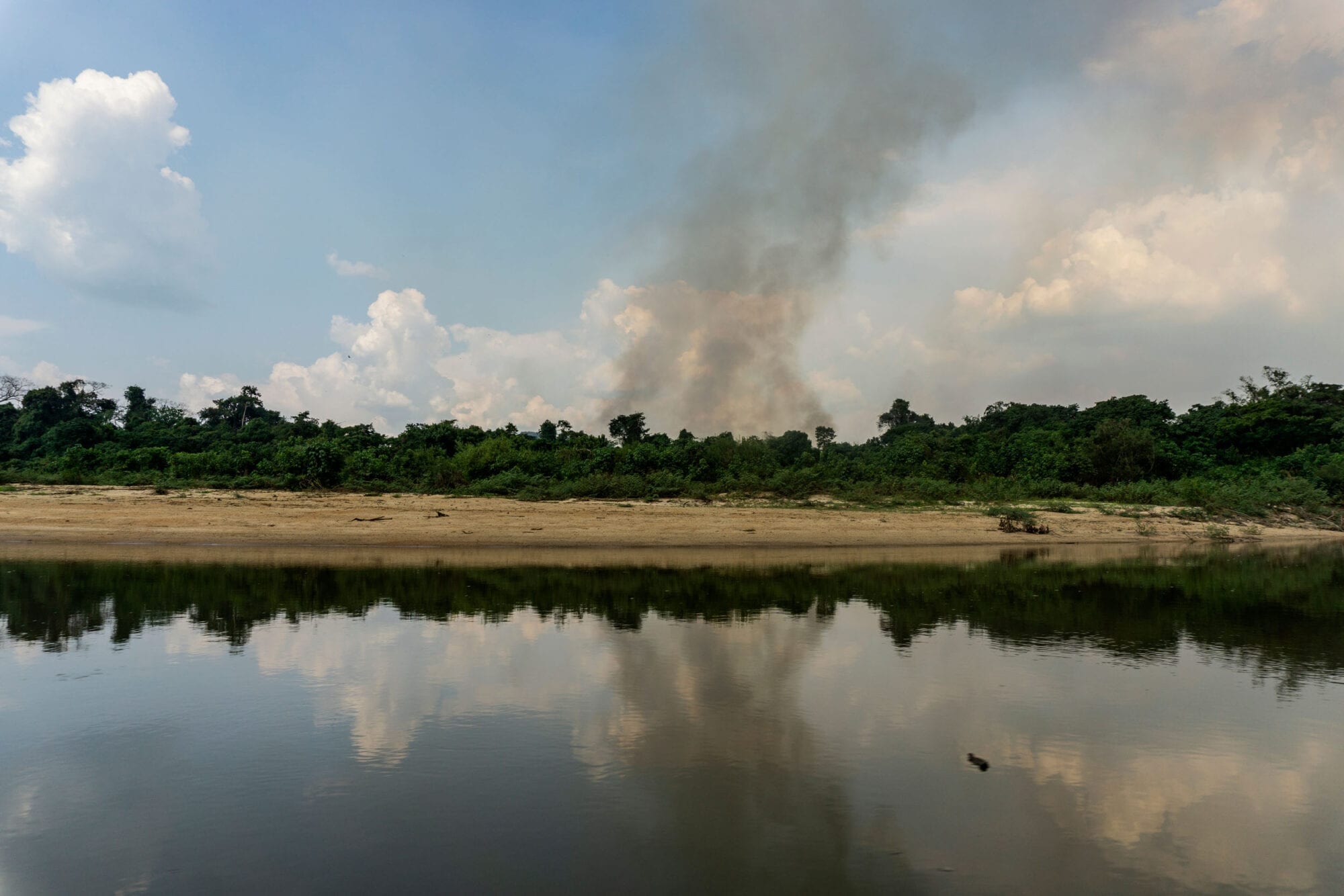 Indigenous against deforestation 12