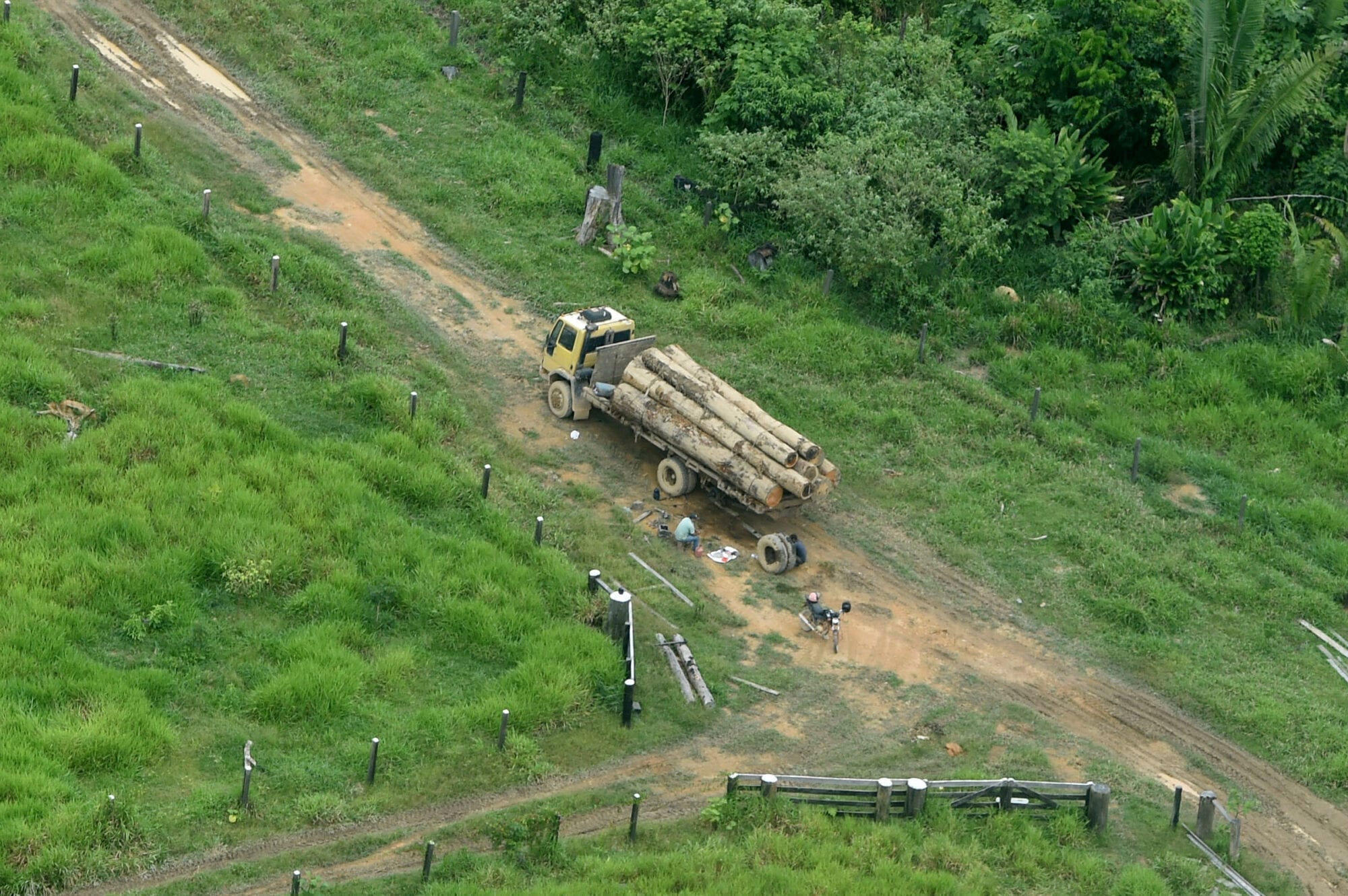Indigenous against deforestation 15