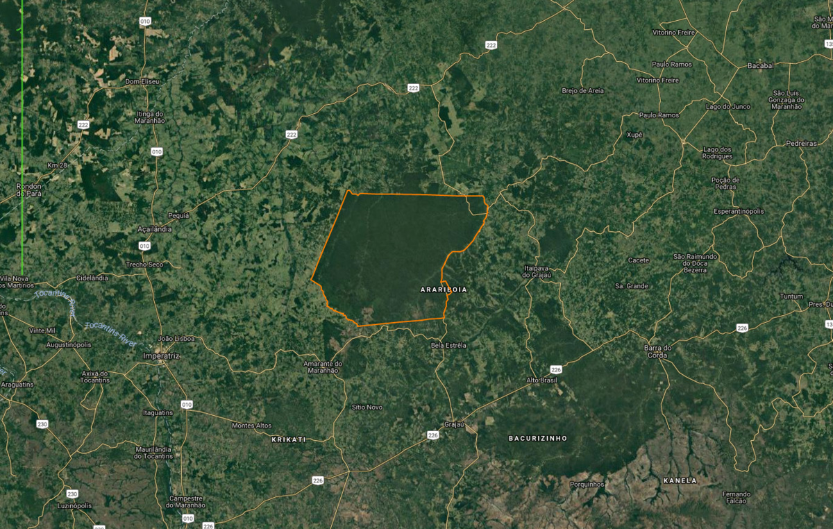 Indigenous against deforestation 18