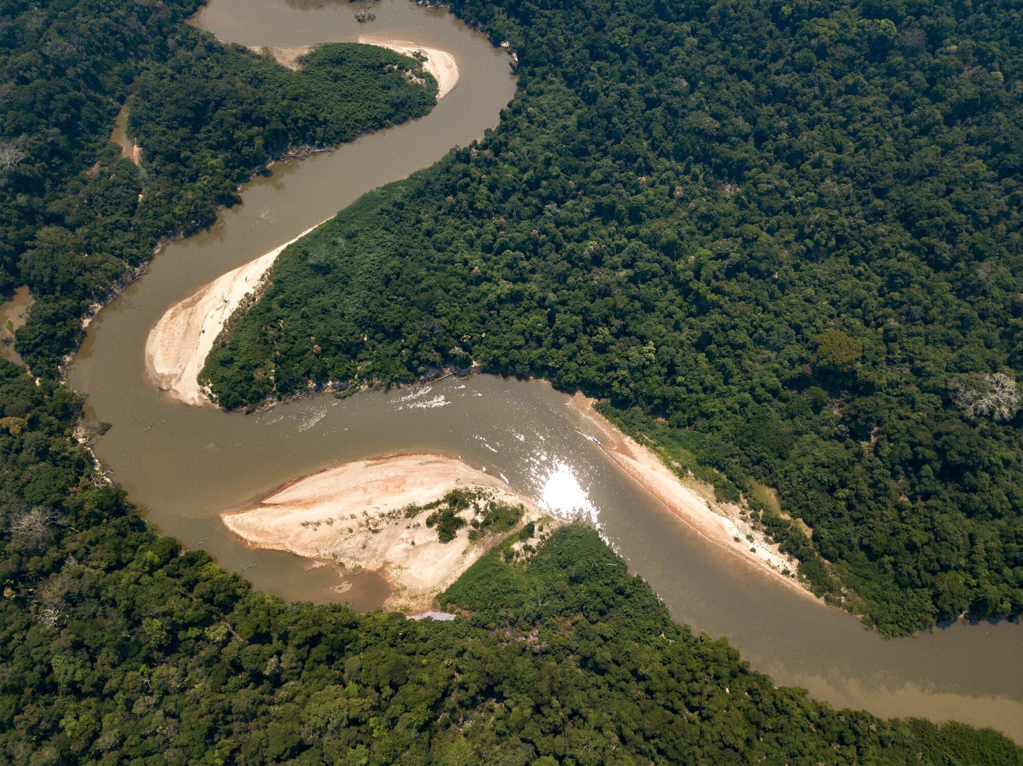 Indigenous against deforestation 2