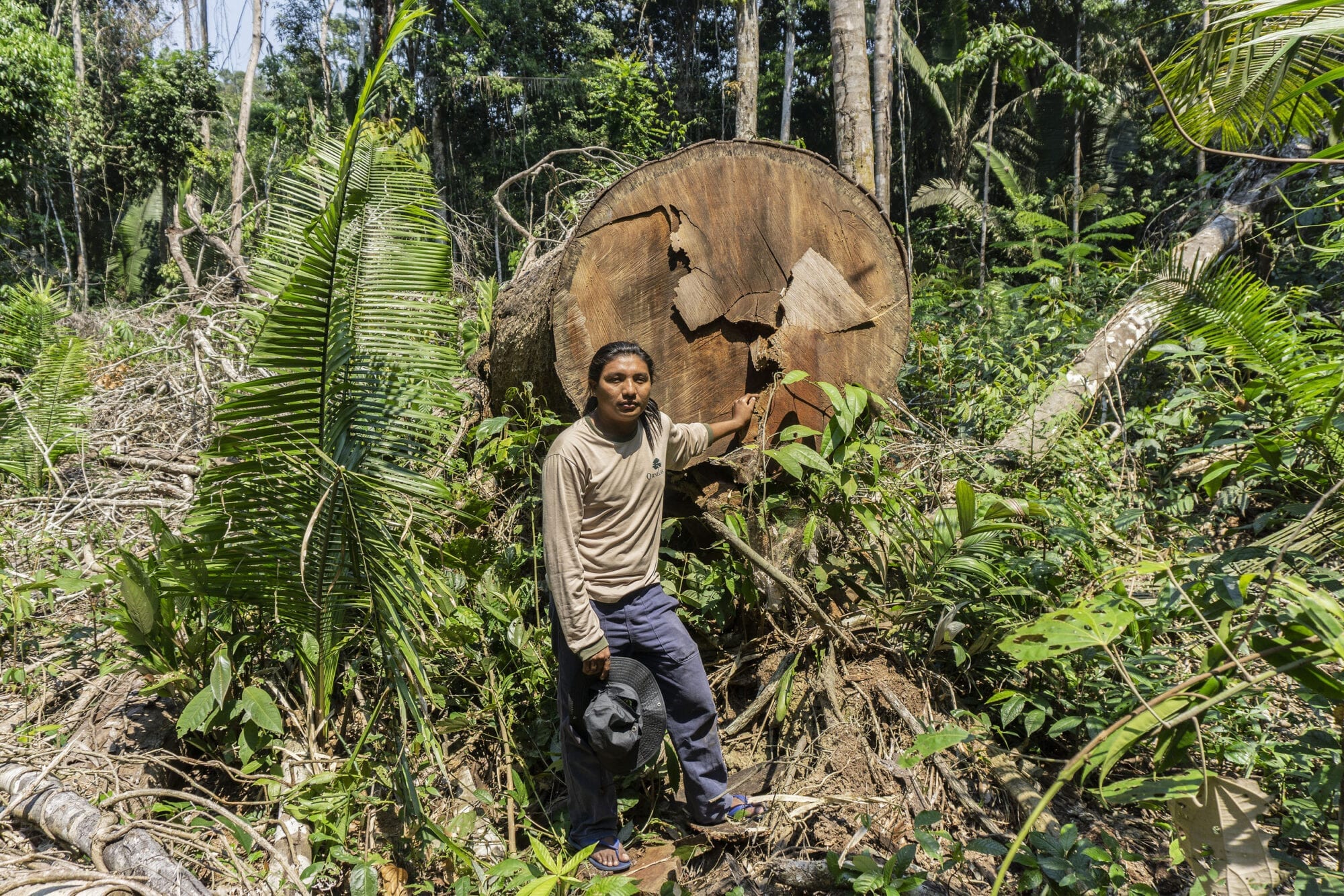 Indigenous against deforestation 8