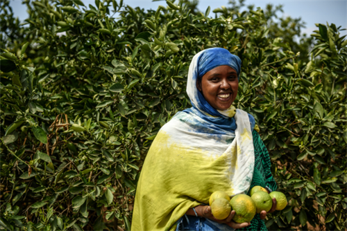Somaliland-El-Nino-3- 500x334.jpg