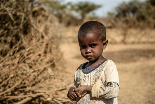 Somaliland-El-Nino-5- 500x334.jpg