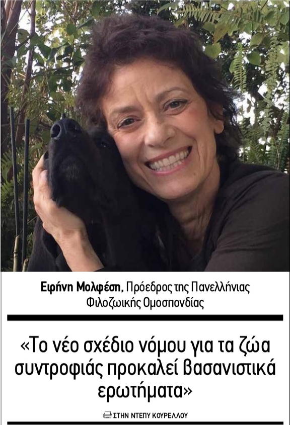 eirini molfesi freesunday