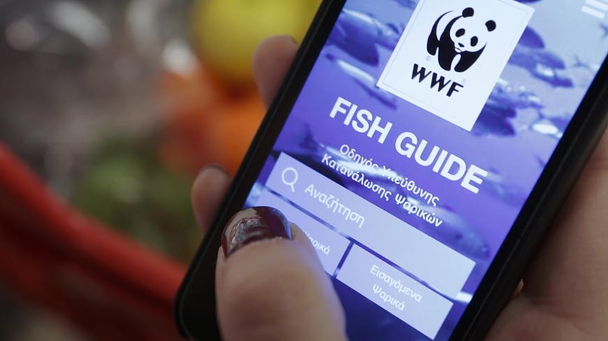 fishguide wwf