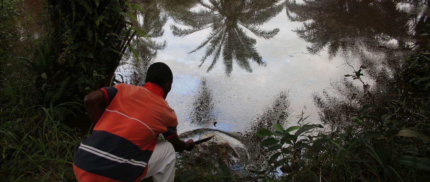 multinational switzerland