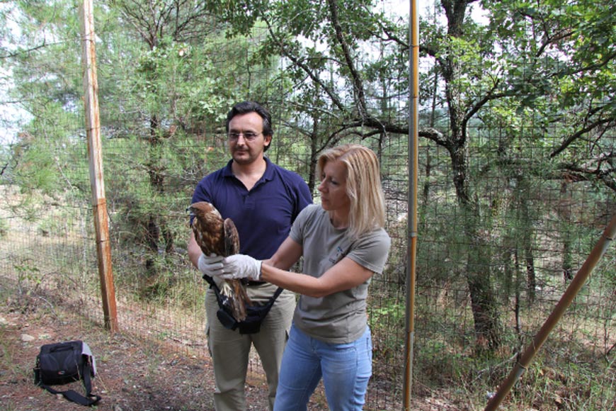 paranomo-emporio-zoon2