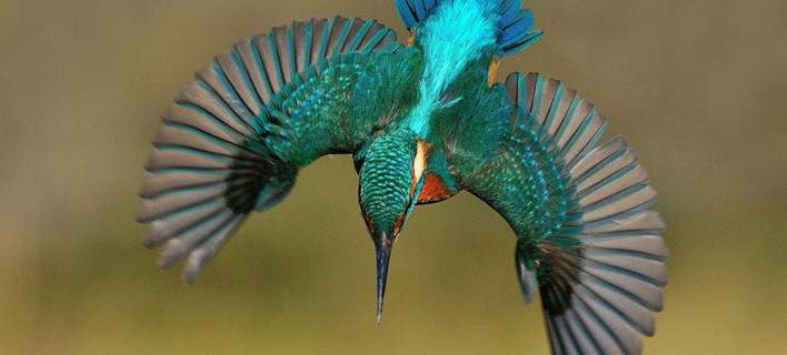 teleia-lipsi-fotografias