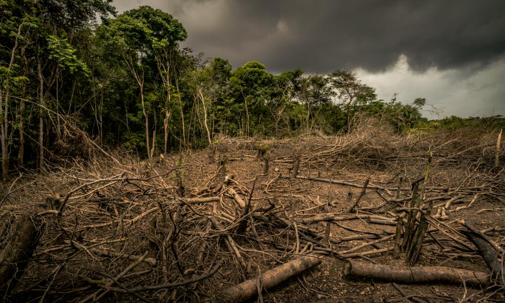 the living planet report 2020